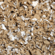 Lecho Oxbow Pure Comfort Sustrato Absorbente papel blend detalle