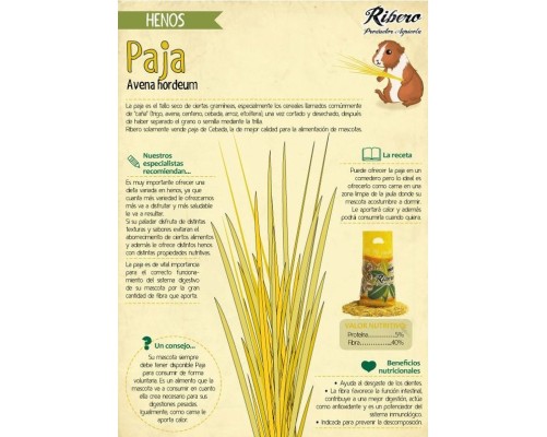 Paja Natural Ribero de Cereal de Cebada