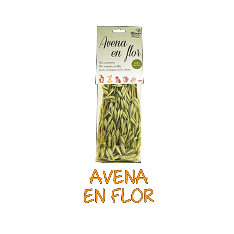 Snack Avena en Flor Snack Avena en Flor