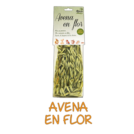 Snack Avena en Flor