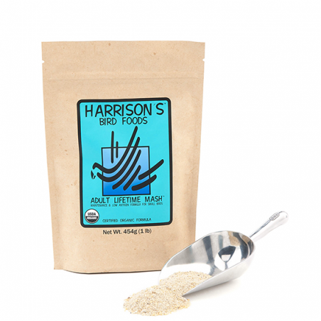 Harrison picadillo mantenimiento