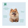 Colonia Men For San Puppies