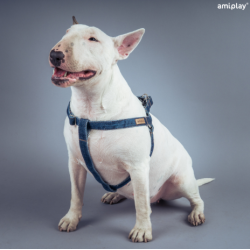 Arnés Denim para Perro