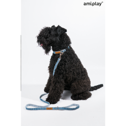 Collar Denim para Perro