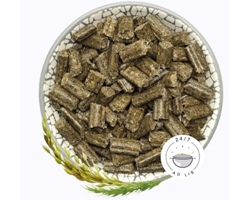 Pienso Bunny Dream Conejo Basic