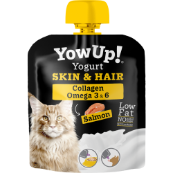 Yow Up! skin&hair