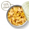Lata Applaws Cat Pollo y Calabaza