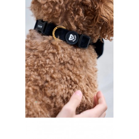 Collar para Perro Velvet Black