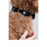 Collar para Perro Velvet Black