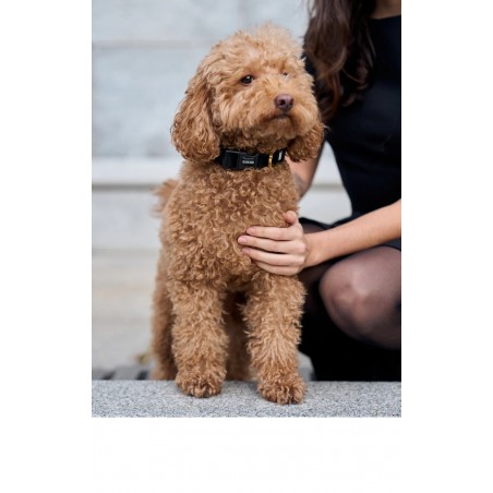 Collar para Perro Velvet Black