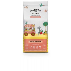 Harper and Bone Gato...
