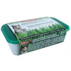 Hierba de Gato Depurativa