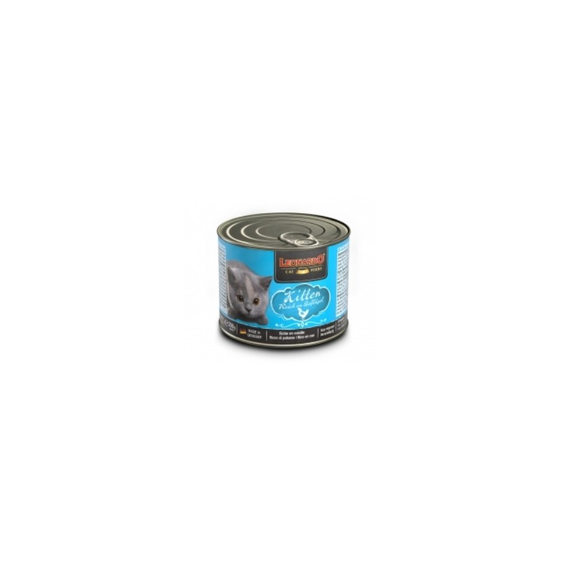 Lata Leonardo Quality Selection (kitten)
