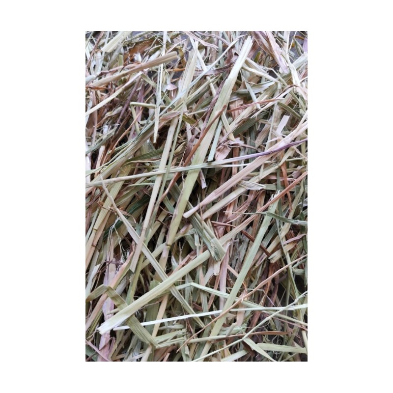 Heno de Avena Herre 800gr