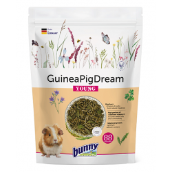GuineaPig Dream Joven