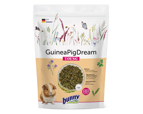 GuineaPig Dream Joven