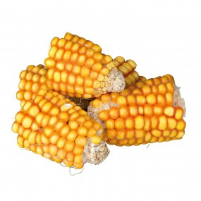 Snack Trixie Mazorca de maíz en trozos 300gr
